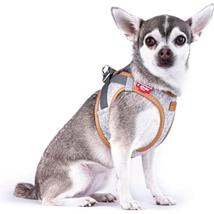 Curli Alpine curli Clasp Vest Harness, ergonomisches Hundegeschirr für kleine bis mittelgroße Hunde, Light Gray, Größe M – Bild 2
