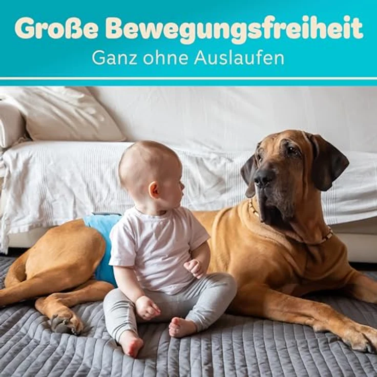 HUND IST KÖNIG® Hundewindeln für Rüden [3 STK] Saugstarke Hundewindeln Rüde | Bequeme Hunde Windeln bei Inkontinenz Hund - Rüdenwindel waschbar | Hundewindel leicht zu reinigen – Bild 2