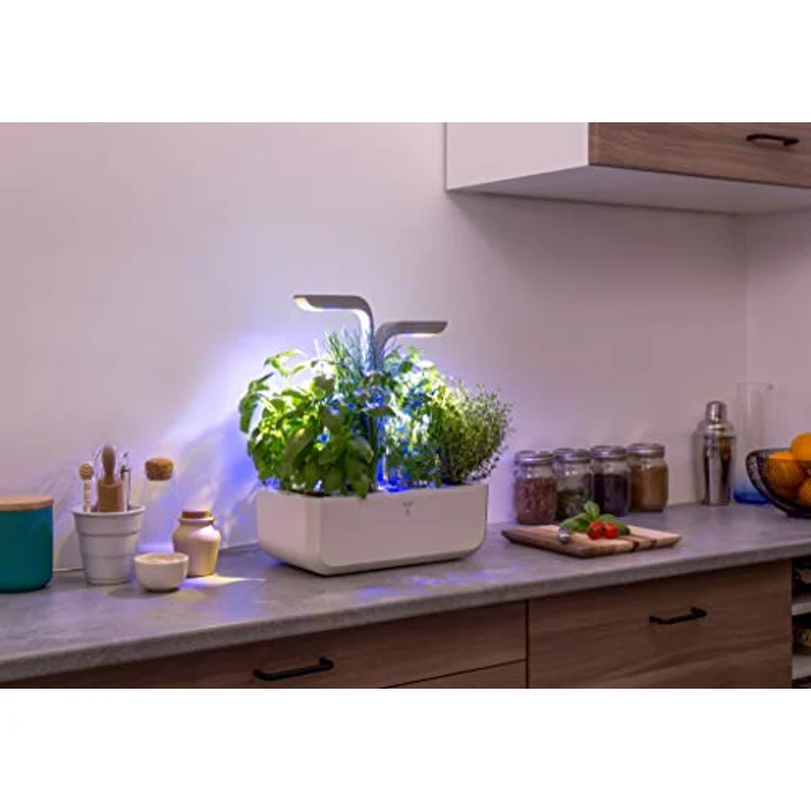 Veritable Anzuchttopf Véritable SMART, Indoor-Garten mit Adapt'Light LED-Technologie für 4 Pflanzen, bis zu 4 Wochen autonom – Bild 4