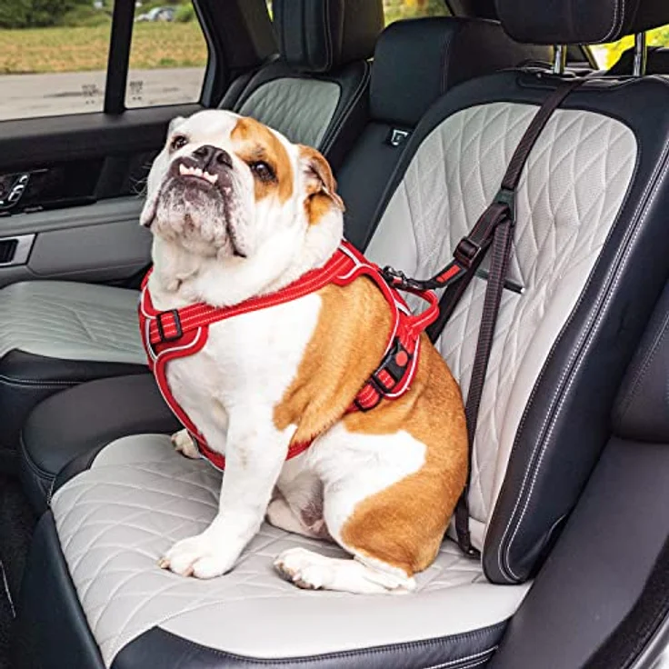 KONG Hunde-Sicherheitsgeschirr KONG Travel Ultimative Sicherheitsgurt fürs Auto – Bild 3
