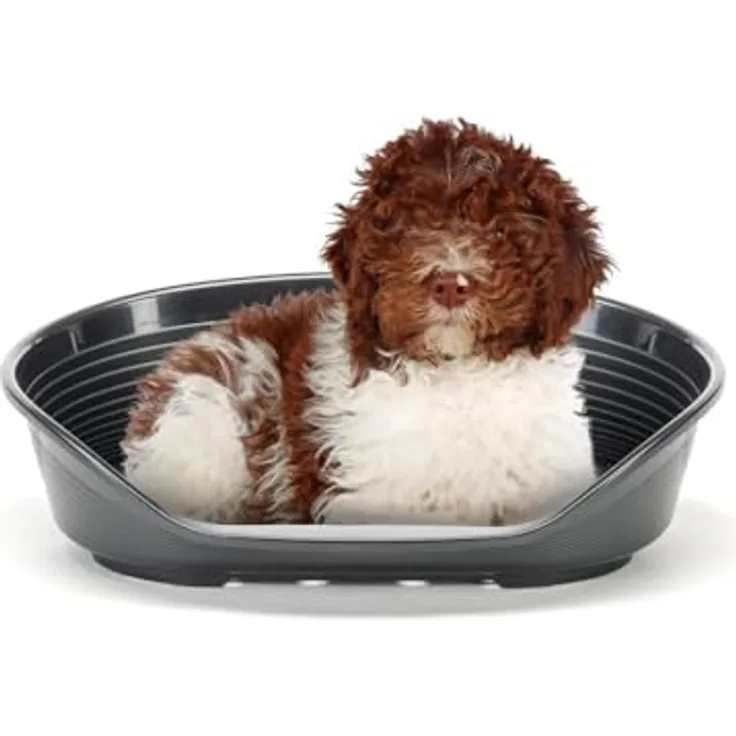 Ferplast Dog Bed Siesta Deluxe, Kunststoff-Haustierkorb für Hunde und Katzen, Schwarz, 93,5 x 68 x 28,5 cm