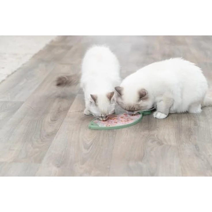 TRIXIE Lick'n'Snack Matte Fisch für Katzen - Geeignet für Pasten, Nassfutter oder Molkereiprodukte, petrol – Bild 2