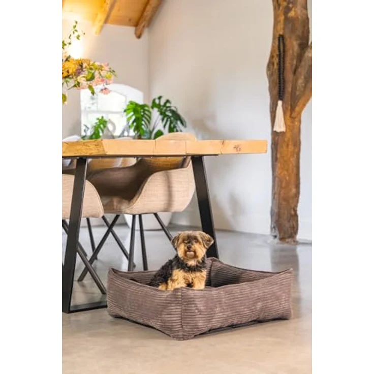 Designed by Lotte Ribbed, Hundebett + Katzenbett aus hochwertigem Rippenstoff, waschbarer Bezug, rutschfester Boden, in 5 Farben und 3 Größen erhältlich, 95x80x23 cm – Bild 8