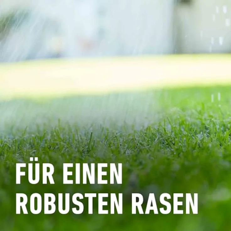 Compo Rasen-Langzeitdünger 8 kg - 2463304004 Düngemittel – Bild 6