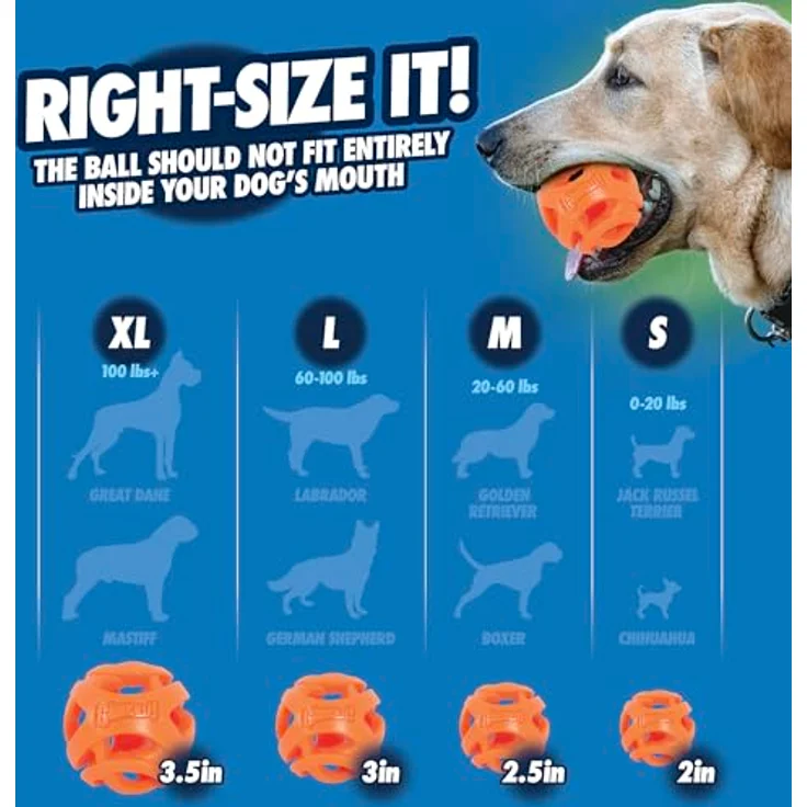 Chuckit! CH31931 Breathe-Right Small 2-er Pack – Bild 4