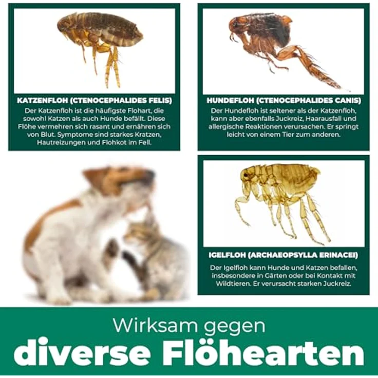 Silberkraft Flohspray für Umgebung, gegen Flöhe, Zecken & Milben, 500 ml, Langzeitschutz, ideal für Textilien, Made in Germany – Bild 4