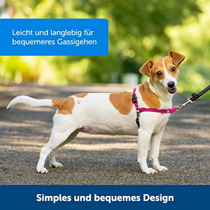 PetSafe Easy Walk-Geschirr, Anti-Zieh-Hundegeschirr, Verringert Würgen und Husten, Mit 1,8 M Leine, Größe M, Schwarz – Bild 4