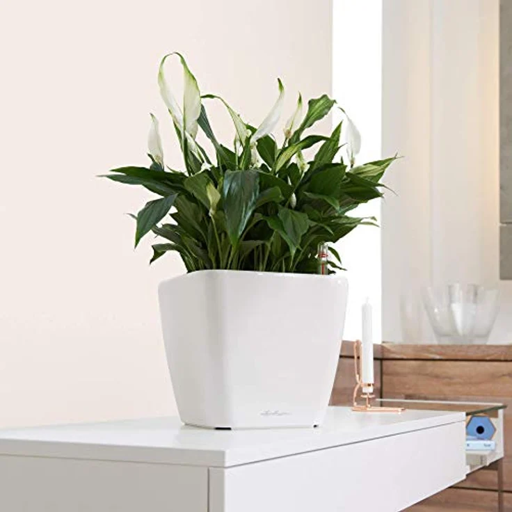 LECHUZA QUADRO Premium LS 28 weiß hochglanz 16140 - Preisvergleich – Bild 3