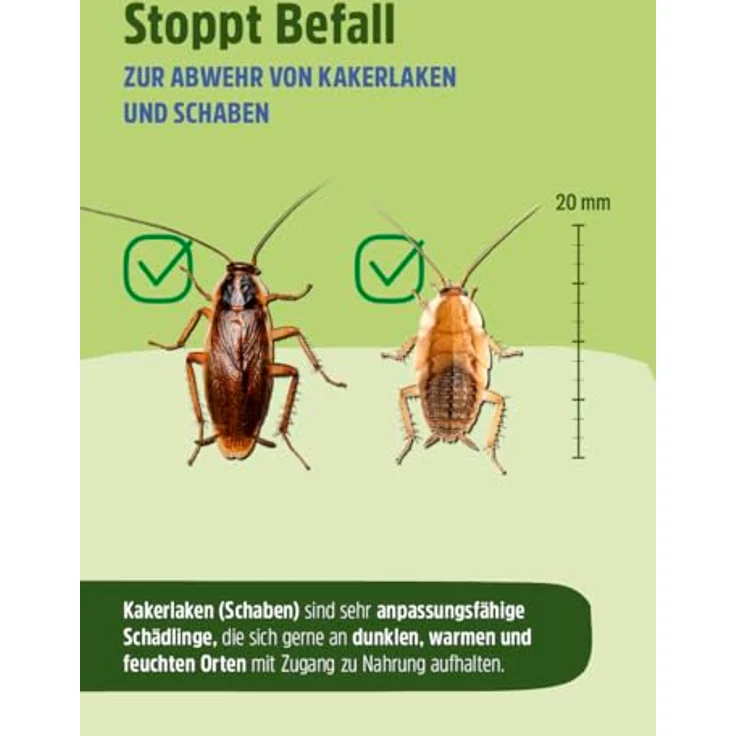 Futura-Shop Kakerlaken Spray 500 ml, Langzeitwirksames Insektizid für Innen & Außen, Schaben Bekämpfung ohne Rückstände – Bild 3