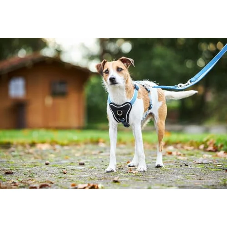 Wolters Hunde-Geschirr Professional Comfort, ergonomisches Geschirr mit reflektierenden Nähten und weicher Neopren-Polsterung, Größe 4 (Bauchumfang 45-50 cm) – Bild 4