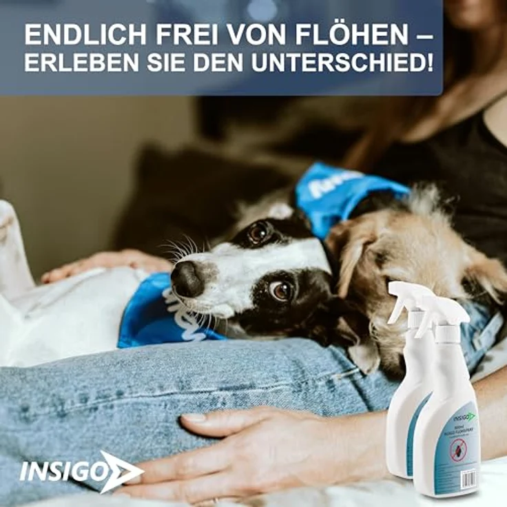 INSIGO Insektenspray Anti Floh-Spray, 1 l, biozidfreie Wasserbasis-Formel, geruchsarm, für Innen- und Außenbereich – Bild 7
