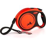 Flexi Leine Xtreme L, 8m, Gurt, bis 55kg