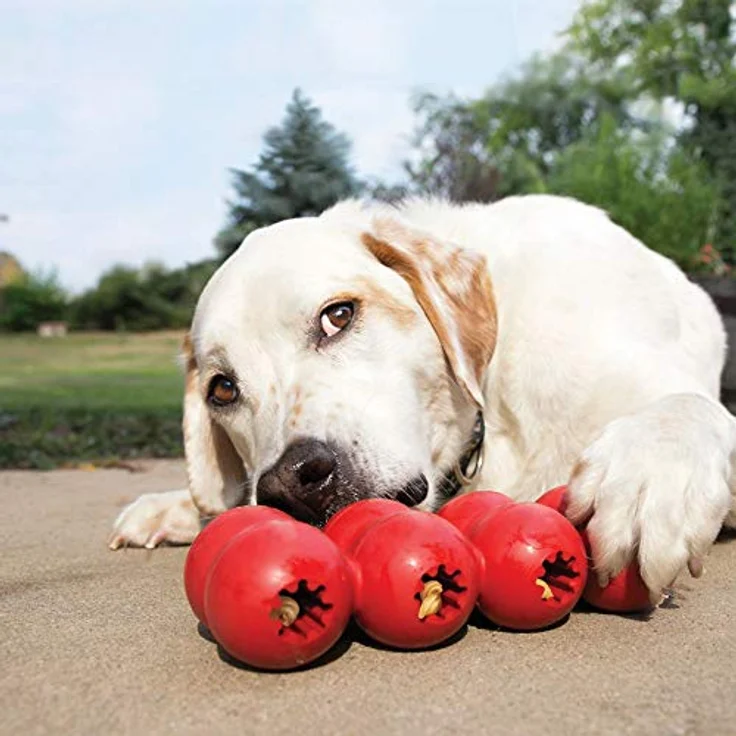 KONG Goodie Ribbon Kleines Kauspielzeug für Hunde – Bild 2