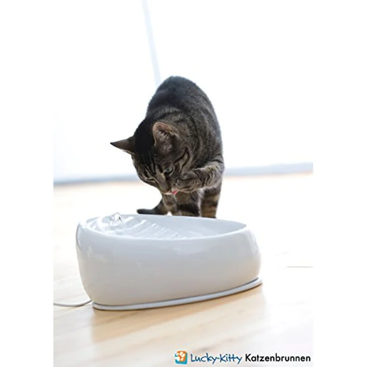 Lucky-Kitty Katzenbrunnen aus Keramik, Grau – Bild 3