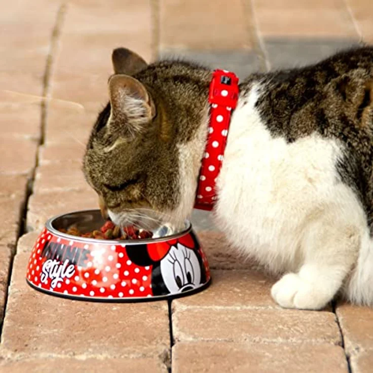 CERDÁ LIFE'S LITTLE MOMENTS Katzen- und Hundenapf, Minnie Mouse, Offizielle Disney Lizenz, Mehrfarbig, Größe S – Bild 3