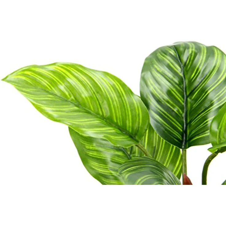 Künstliche Maranthuspflanze im Topf Seidenblumen Real Touch Grünpflanzen Dekopflanzen Kunstpflanzen Zimmer Pflanzen Blattpflanze Fangblatt bunter Pfeilwurz Blattschmuckpflanze Pflanztopf Korbmarante – Bild 4