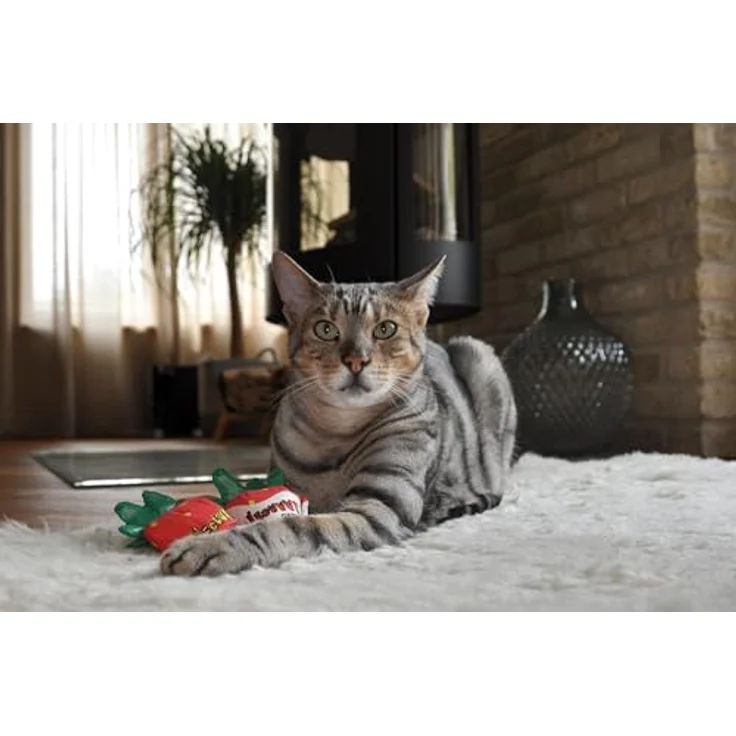 Yeowww! Katzenminze Spielzeug - Bio Crinkle Spielzeug in Erdbeerform (Schokoladen-Erdbeere), langlebig und sicher für Innen- und Außenkatzen, H 10 cm – Bild 5