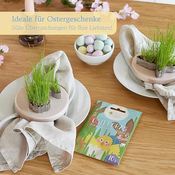OwnGrown Ostergras Grün Samen, 10g für Dekoration und Katzengras-Anzucht, geeignet für Fensterbank, Balkon, Topf und Schale – Bild 5