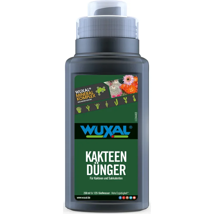 Wuxal Kakteen- und Bonsaidünger, mineralischer Flüssigdünger mit NPK 4-6-8 für gesundes Wachstum, 0,25 l