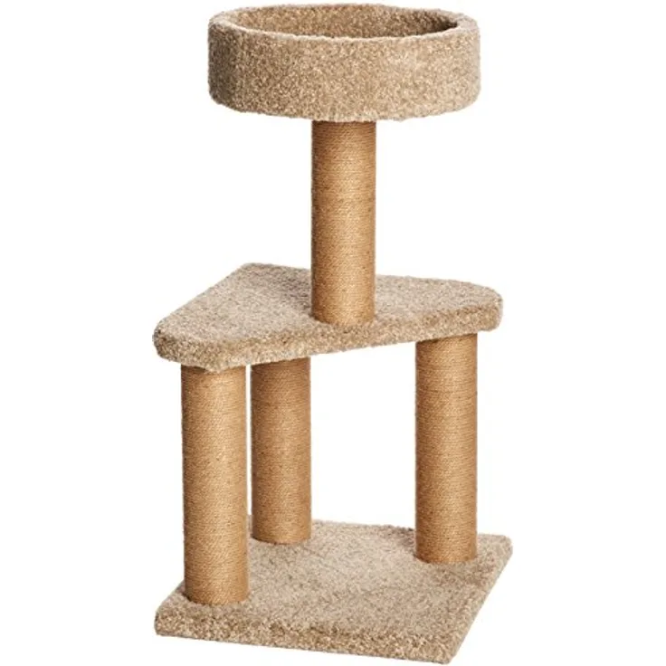 Amazon Basics Spielstation und Kratzbaum für Katzen, Medium