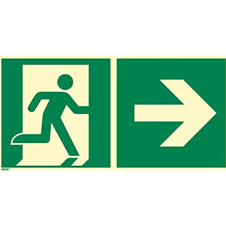 Notausgang rechts, Aluminium, langnachleuchtend, 300 x 150 mm gemäß ASR A1.3 / ISO 7010 E002, Rettungszeichen Schild, 30 x 15 cm