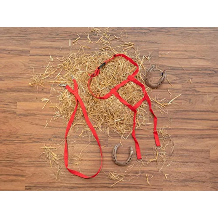 Betzold Sport Pferdegeschirr für Kinder, strapazierfähiges Nylon, verstellbar, inklusive Karabiner und Schnellverschluss – Bild 4