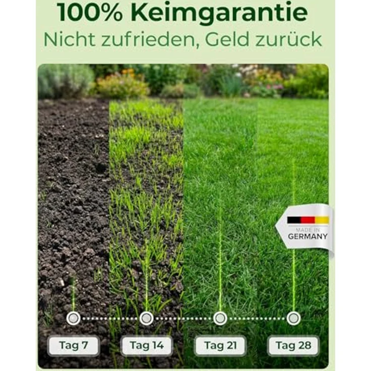 Natureflow Rasensamen Frühjahr 20kg, schnellkeimend, Unkrautfrei, für 800m2 Rasen Nachsaat, Made in Germany – Bild 3