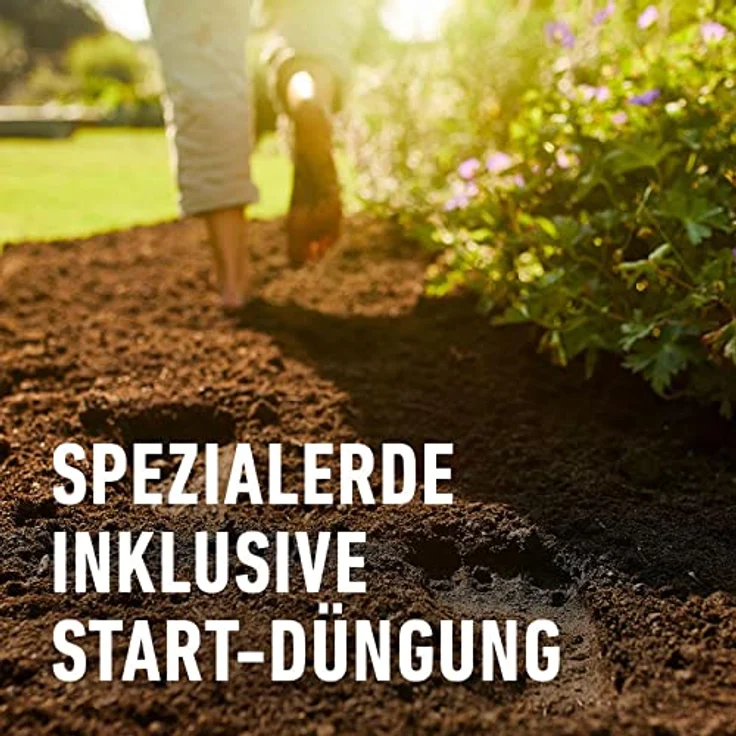 COMPO Sana Qualitäts-Blumenerde (50% weniger Gewicht) 60 Liter – Bild 3