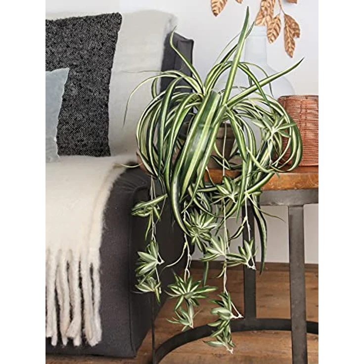 Mica Decorations Kunstpflanze Mica Chlorophytum im Topf grün, 45 x 45 cm, detailgetreue Nachbildung, sofort einsatzbereit - Preisvergleich – Bild 6