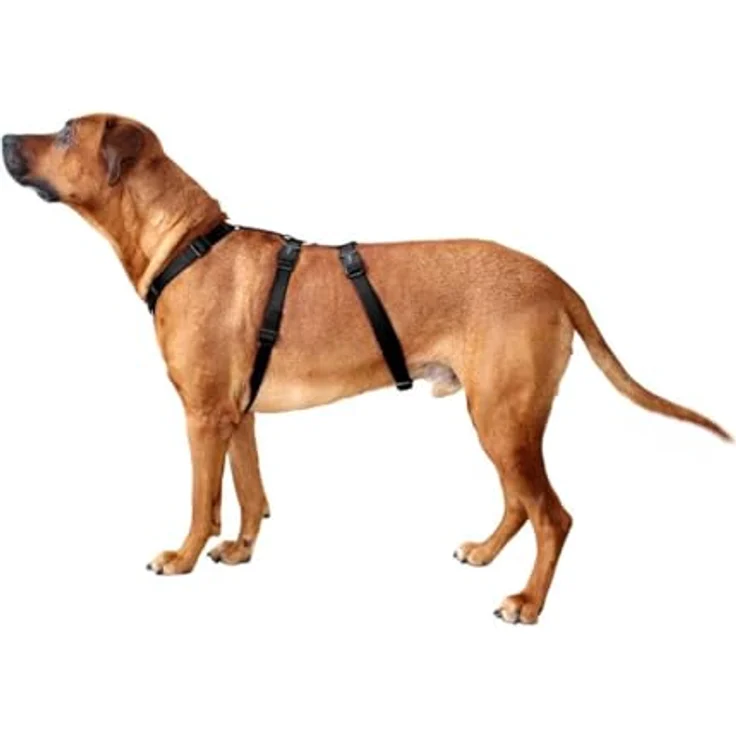 Wolters Hunde-Sicherheitsgeschirr Professional No Escape, ausbruchsicher mit zwei Verschlüssen, Größe S/M/L/XL – Bild 3