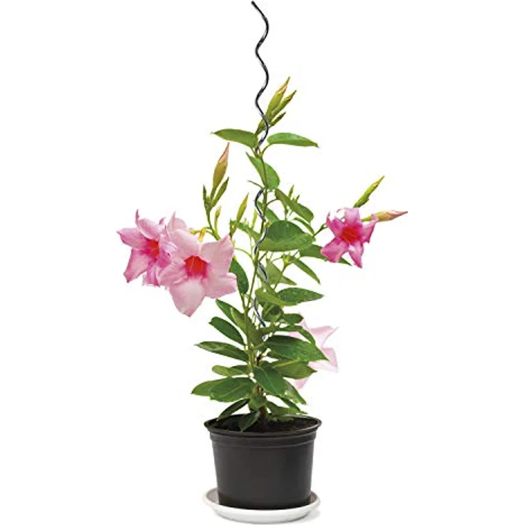 bellissa 1 Stück Hochwertige Pflanzspiralen - Pflanzen-Stangen und Spiral-Stäbe für das Ranken im Garten verzinkt Höhe: 110 cm - Ø 5 mm – Bild 2