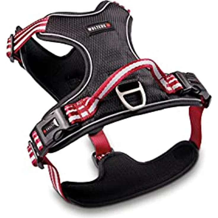 Wolters Active Pro Geschirr Gr. 6, 70-85 cm x 2,5 cm, champagner/silber, gut gepolstert mit reflektierenden Nähten, Halsband + Leine – Bild 5