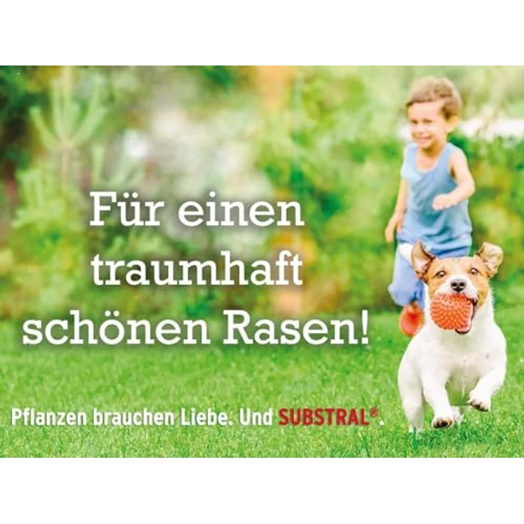 Substral Die Nachsaat 400 g – Bild 7