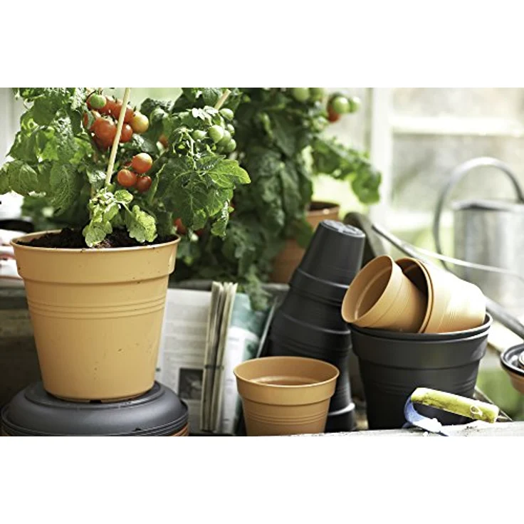 Elho Anzuchttopf Green Basics Ø 30 cm, UV-beständiger und winterfester Pflanzbehälter in laubgrün – Bild 2