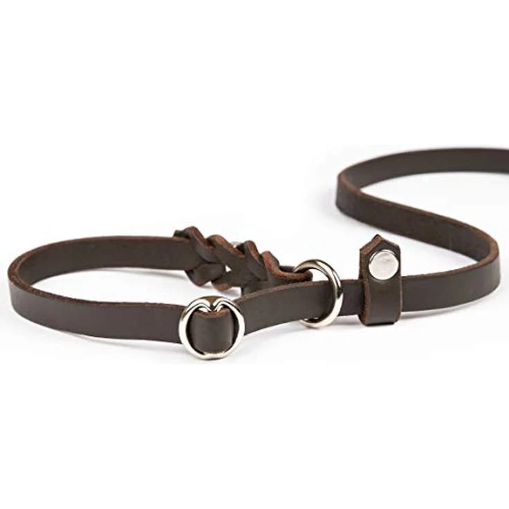 CopcoPet - Retrieverleine/Agilityleine aus Fettleder, verchromt Gr. 1.20 m x 10 mm Braun – Bild 2