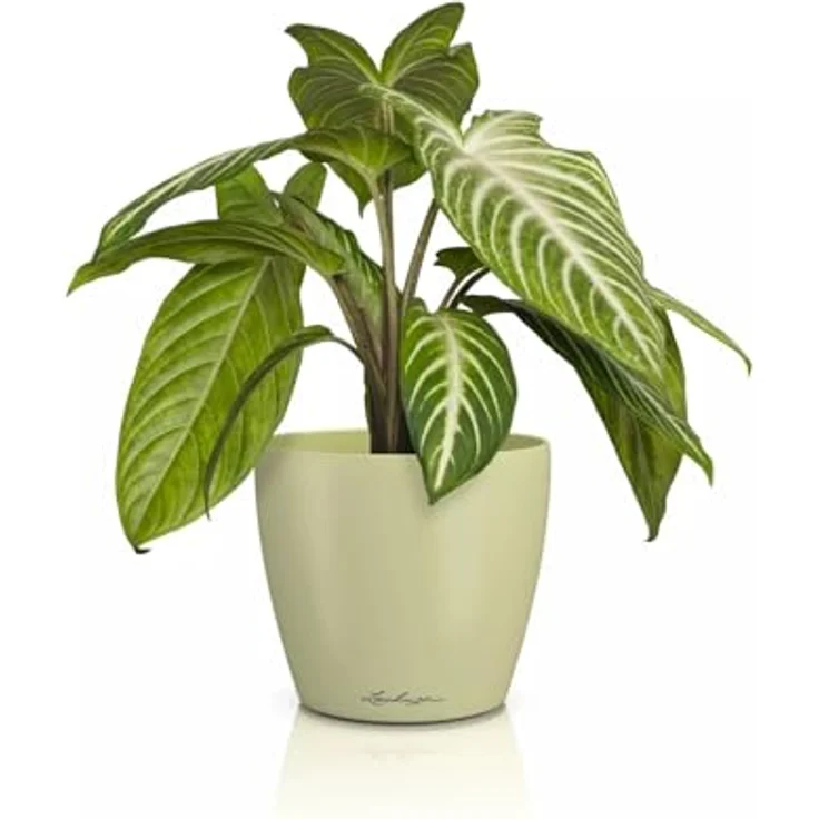 Lechuza Tischgefäß Classico Color 14 Deco Linde, 1,8 l Pflanzvolumen, 100% recycelbar – Bild 1