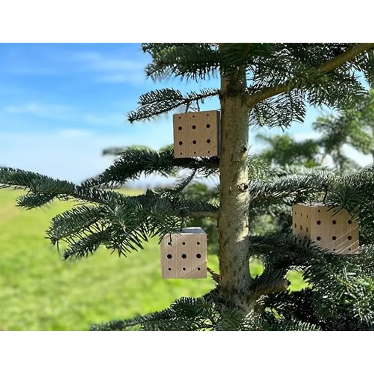 WONDERMAKE® 3er Set: Design Insektenhotel klein, Kubus aus Buche-Holz mit 3X 42 Nistplätzen, Bienenhotel hängend Nisthilfe für Wildbienen, braun schwarz – Bild 2