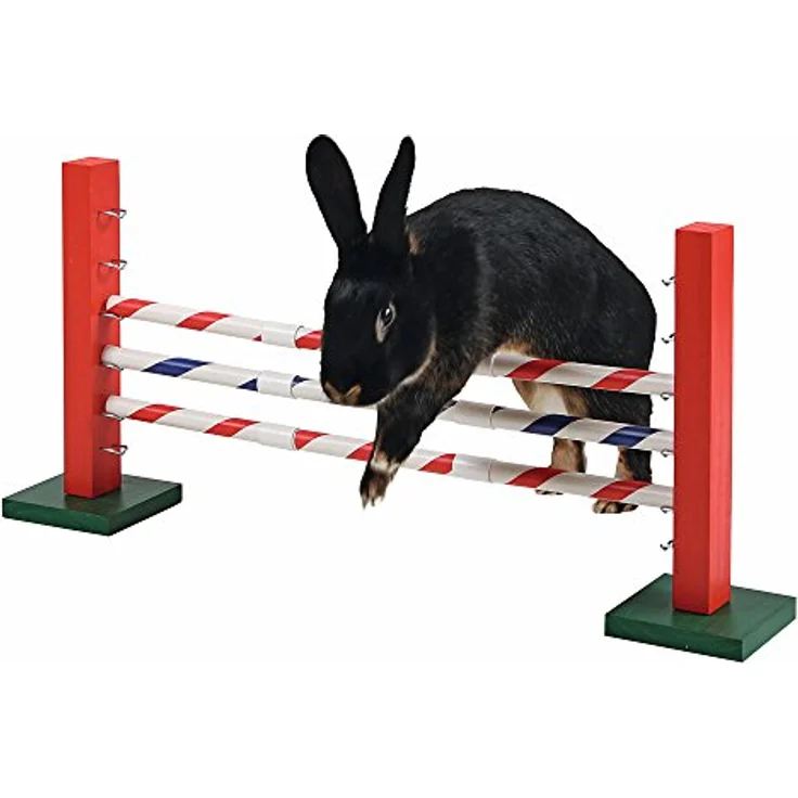 Kerbl 82859 Agility Steilsprung für Nager, 70 x 5 x 35 cm, 1 Stück (1er Pack) – Bild 4