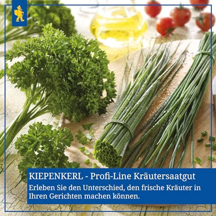 Kiepenkerl Bärlauch Waldknoblauch Allium ursinum – Bild 5