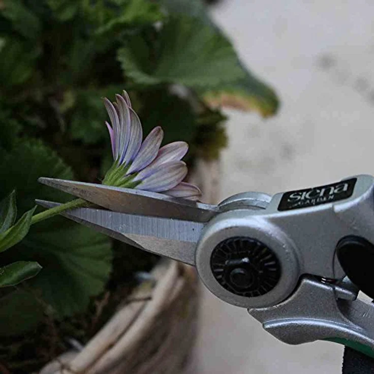 Siena Garden 603130 Bonsaischere ProfiLine Softgriffe, grün,alu mittelgroß – Bild 3