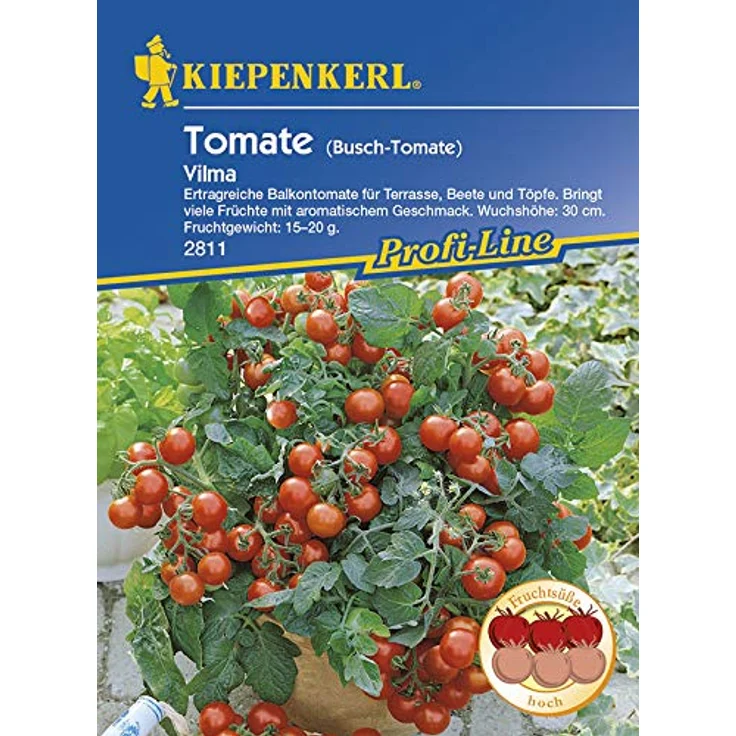 Kiepenkerl Tomaten Balkontomate Vilma rot – Bild 2