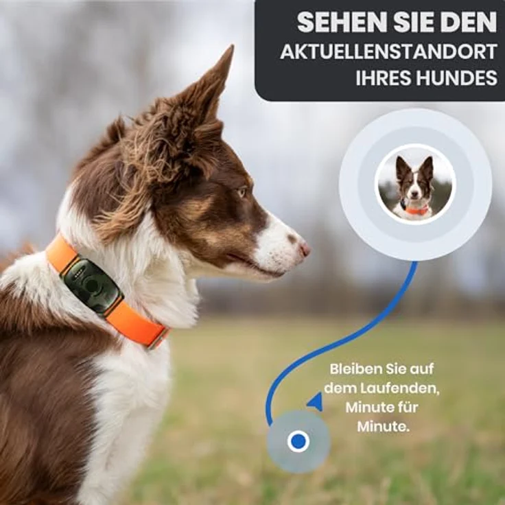 MiniFinder Vexo GPS-Hundetracker 39 g mit Echtzeit-Tracking, M90-Camo-Design, langer Akkulaufzeit & App-Integration für Jäger – Bild 6
