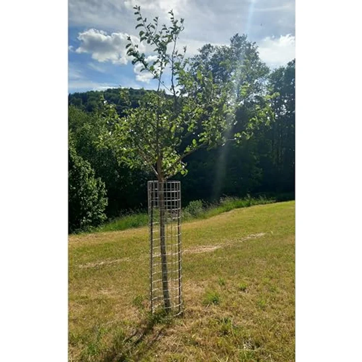 Gabione Steingabionen Steinkorb Drahtkorb Gabionensäule rund Ø 35 cm 0,80 m – Bild 3