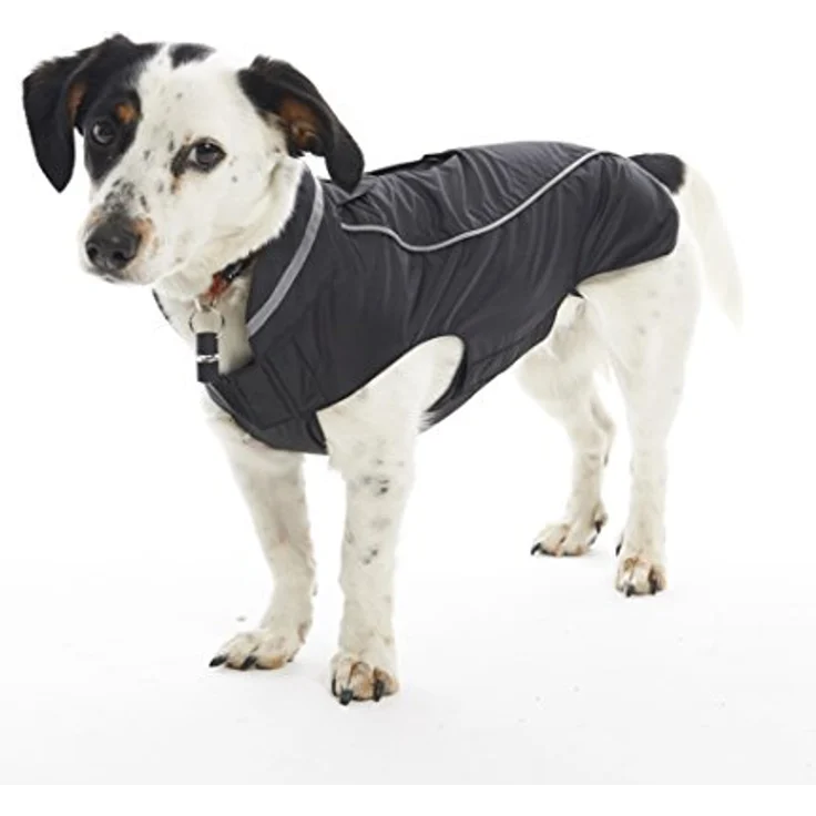 Kruuse Buster Softshell - Hundejacke, wasser- und winddicht, atmungsaktiv, blau – Bild 2
