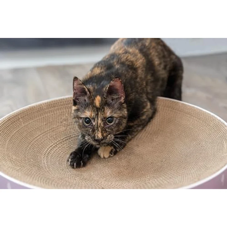 TRIXIE Tierbett Kratzbett Lilly, mit Katzenminze behandelt, stabile Pappe, ø 45 x 10 cm - Preisvergleich – Bild 2
