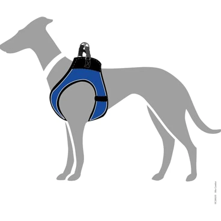 Hunter Hunde-Geschirr Hilo Comfort blau XS-S – Bild 5