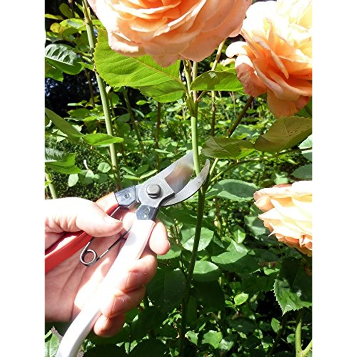 Okatsune 103 Gartenschere für allgemeine Zwecke – Bild 10