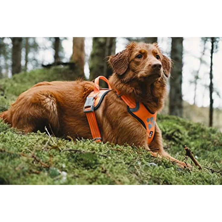 Hurtta Weekend Warrior Hundegeschirr für Hunde, Orange 40-45 cm – Bild 4