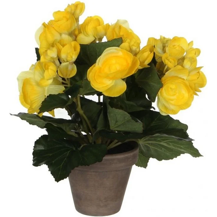 Mica Decorations Kunstpflanze Mica Begonia im Topf gelb, 25 x 20 cm, naturgetreue Blüten in verschiedenen Wachstumsstadien - Preisvergleich – Bild 1