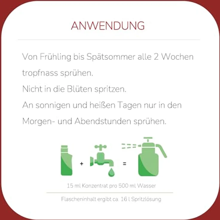 Substral Rosen-Vital mit Anti-Stress-Formel, 500ml, Blumendünger für schöne Rosen – Bild 5